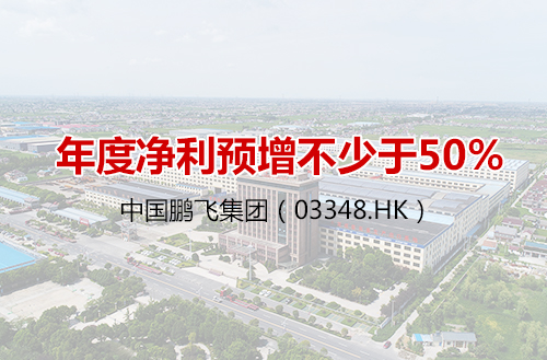 中國鵬飛集團（03348）年度凈利預增不少于50%